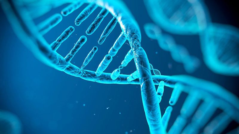 Thai lưu 6 tuần: Nguyên nhân, dấu hiệu và cách phòng ngừa 3