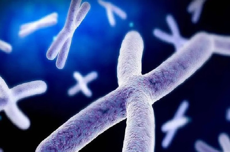 Thai lưu liên tiếp có nguy hiểm không? Bị lưu thai 2 lần phải làm sao? 2