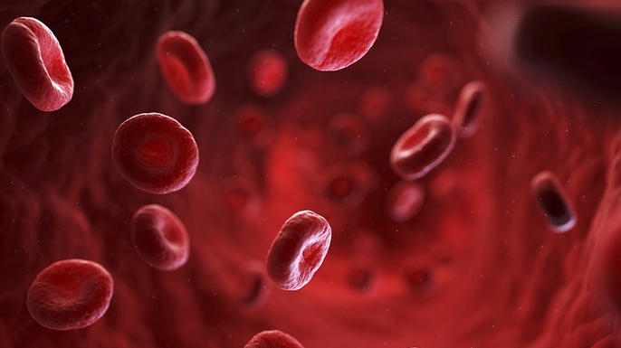 thalassemia-di-truyen-la-benh-gi-thalassemia-co-chua-tri-duoc-khong 1