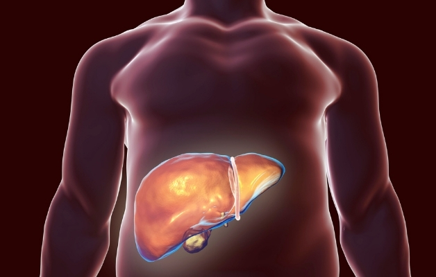 Thanh nhiệt, giải độc gan tốt hơn với viên uống An Bảo Gold Nam Dược 1