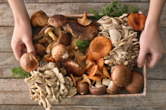 thanh-phan-dam-trong-nam-co-the-thay-the-dam-dong-vat-trong-bua-an-hang-ngay-cua-tre-em 1.jpg