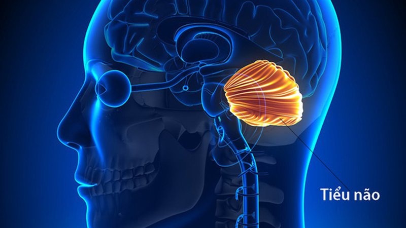 that-dieu-di-truyen-la-gi-nguyen-nhan-gay-nen-that-dieu-di-truyen 2.jpg