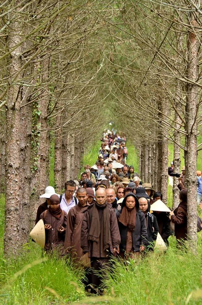 Thiền hành là gì? Cách thực hành thiền hành như thế nào? 1