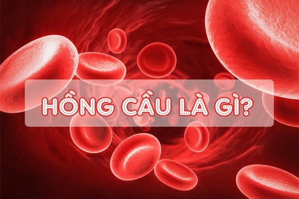 Thiếu hồng cầu có nguy hiểm không?