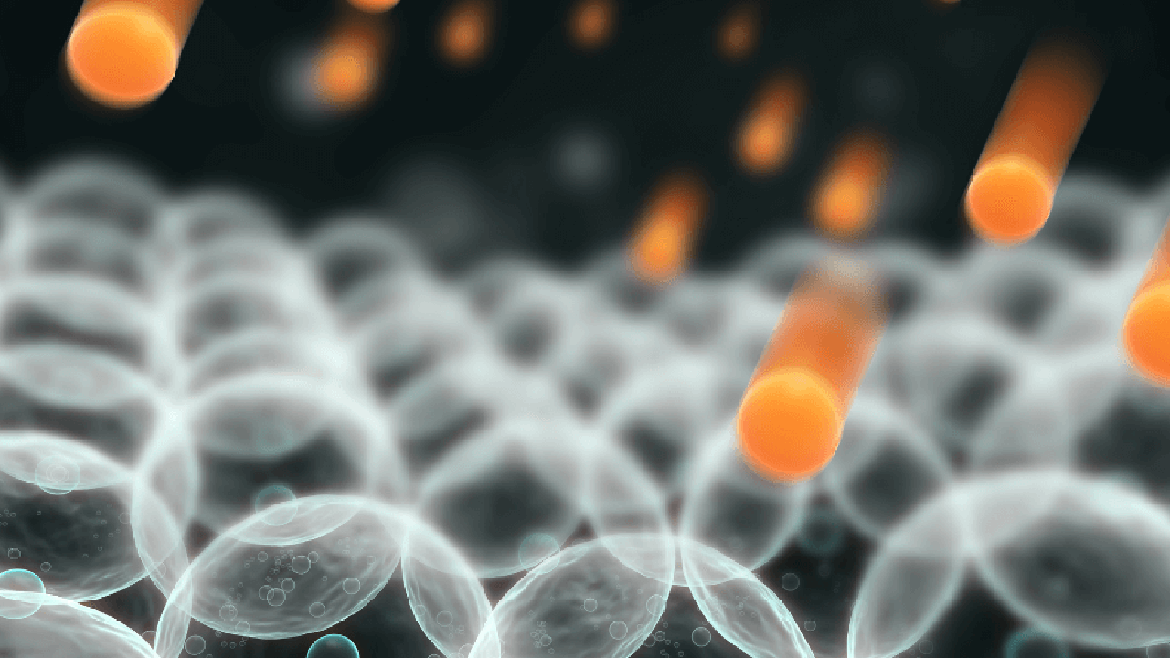 Thioredoxin là gì? Công dụng của Thioredoxin đối với thị lực 1