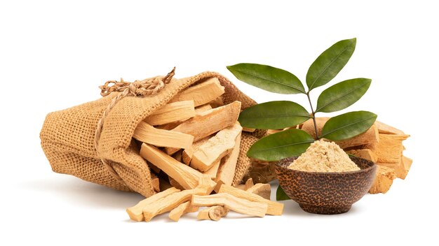 Thực hư về cây mật nhân chữa bệnh tiểu đường 3