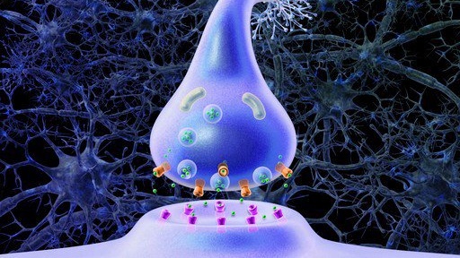 thuoc-tang-dan-truyen-than-kinh-la-gi-nhung-truong-hop-nao-duoc-chi-dinh-loai-thuoc-nay 1