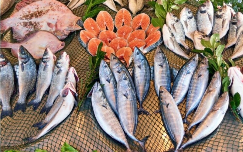 Thủy ngân trong cá và động vật có vỏ có thực sự nguy hiểm không? 4