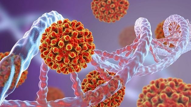 Tiêm phòng viêm gan B sau bao lâu thì được quan hệ? 1