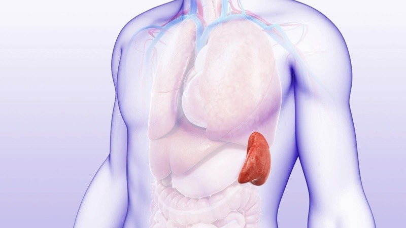 tieu-cau-ve-0-nhung-diem-mau-chot-can-biet 2