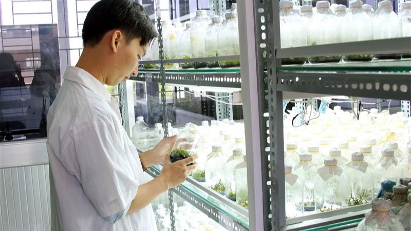 Tìm hiểu một số môi trường nuôi cấy vi khuẩn 4