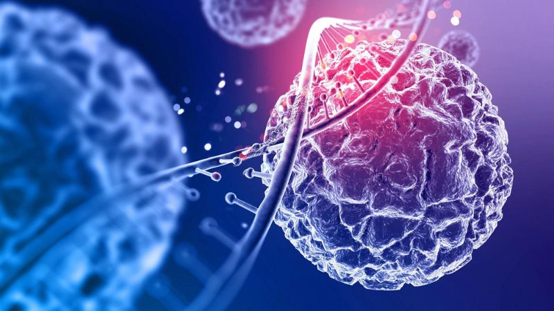 Tìm hiểu về kỹ thuật nhuộm hóa mô miễn dịch trong điều trị ung thư 2