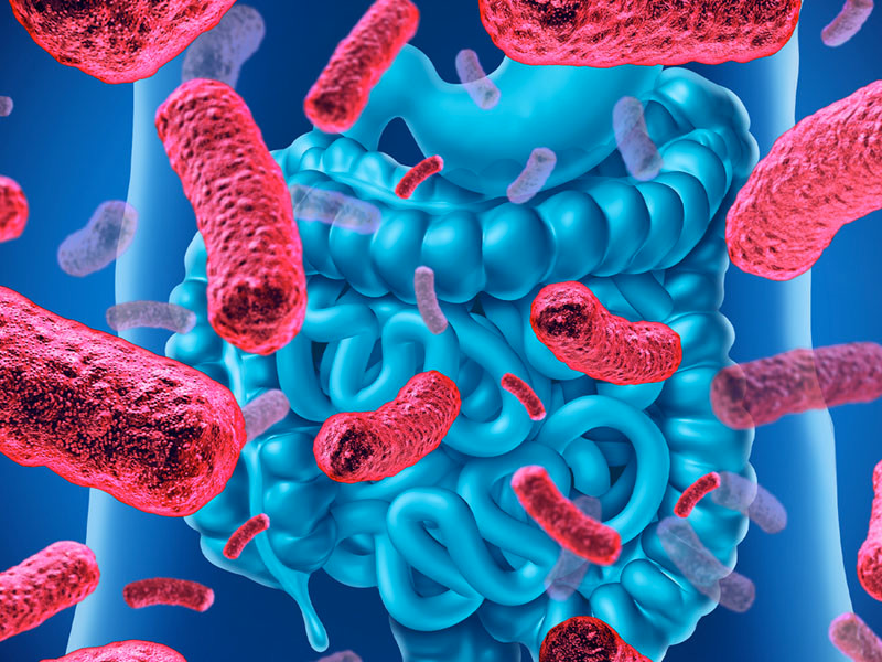 Tìm hiểu về Lactobacillus và lợi ích mà chúng đem lại2