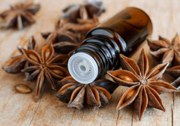 Tinh dầu hồi là gì? Công dụng của tinh dầu hồi 1