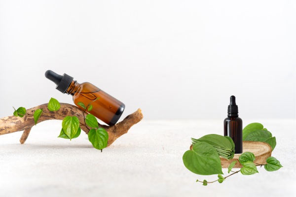 Tinh dầu trầu không và những lợi ích cho sức khỏe 2