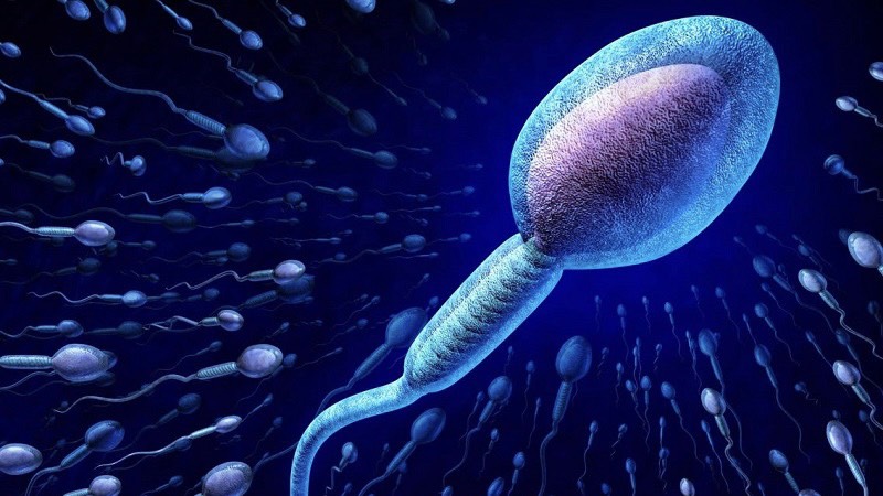 tinh-dich-la-gi-nhung-dieu-can-biet-de-dam-bao-suc-khoe-tinh-dich-duoc-tot 3