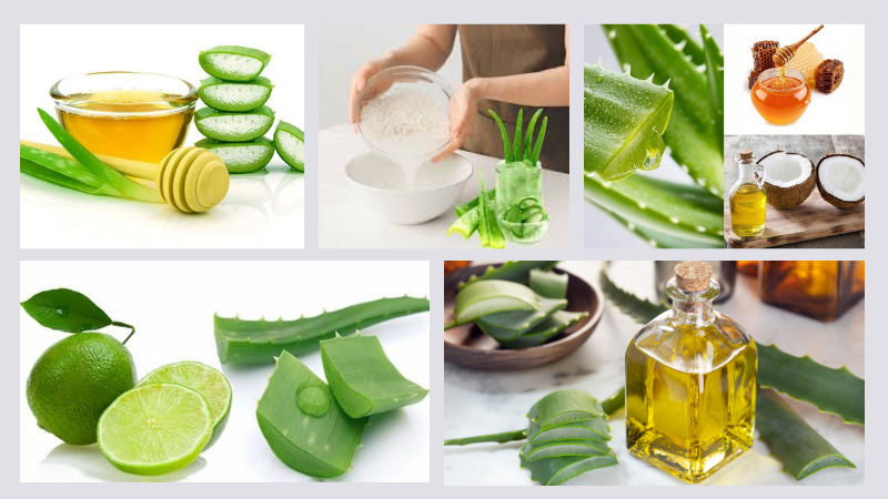 Tổng hợp các cách làm đẹp bằng nha đam hiệu quả, dễ thực hiện 2