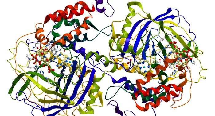 Tổng quan về rối loạn chuyển hóa Purine và Pyrimidine 3