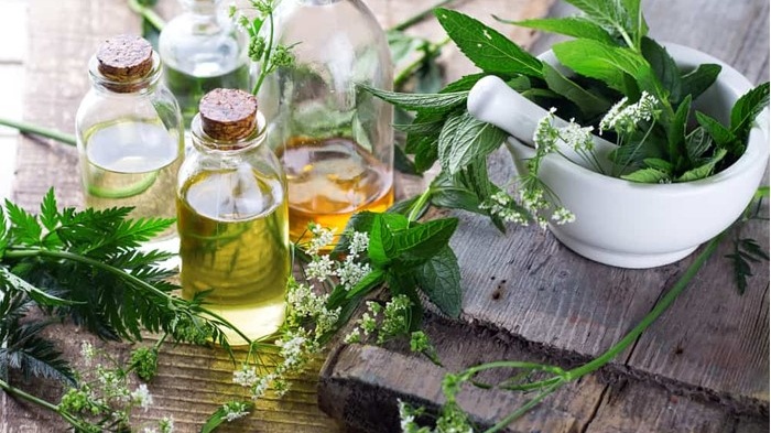 Top 15 loại thuốc nam trị tiểu đường hiệu quả 1