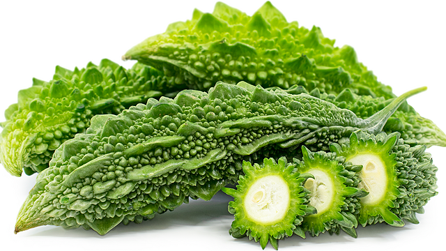 Top 15 loại thuốc nam trị tiểu đường hiệu quả 3