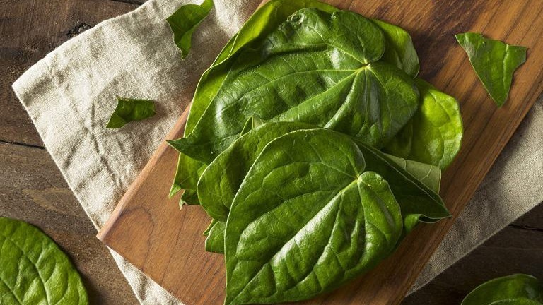 Top 3 cách trị ghẻ nước bằng lá trầu không 1