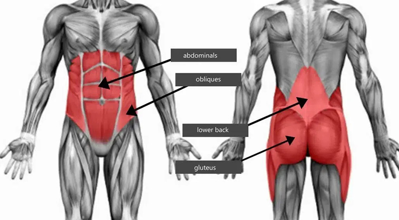 Top 5 bài tập core giúp tạo nét bụng và cải thiện tư thế