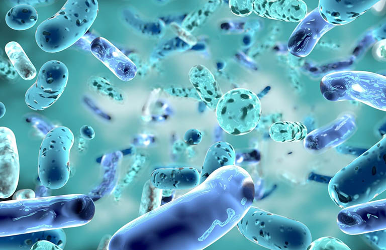 Top 5 cách phòng bệnh Whitmore theo khuyến cáo từ Bộ Y tế 3