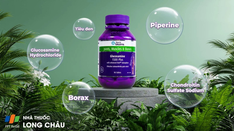 Top 5 món quà sức khỏe cho người già thể hiện tình yêu thương 5