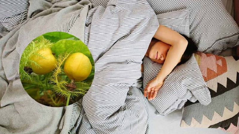 Trà lạc tiên có tác dụng gì​ đối với sức khỏe? Hướng dẫn pha trà lạc tiên đúng cách, hiệu quả 1