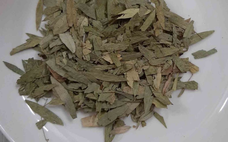 Trà Senna là gì 2