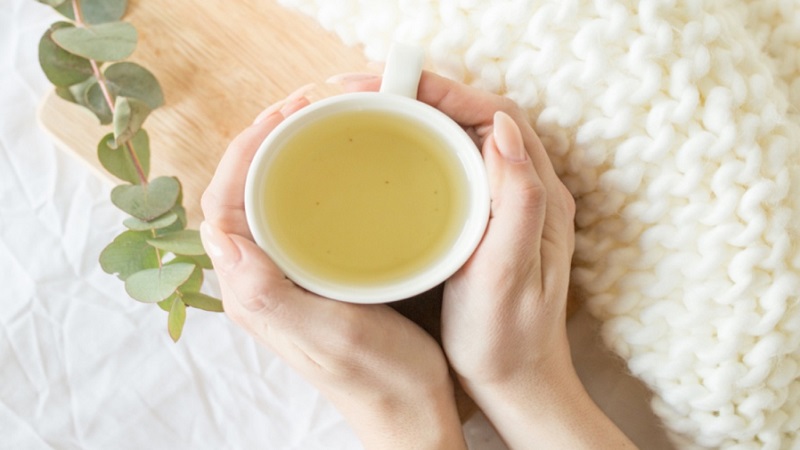 Trà trắng: Đặc điểm, phân loại, công dụng và cách pha chế 5