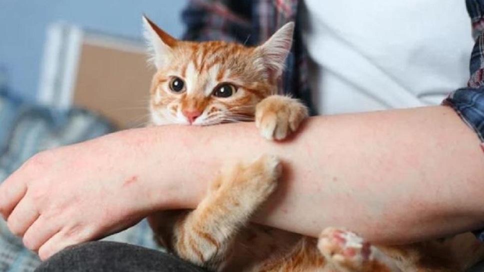 nhathuoclongchau.com.vn