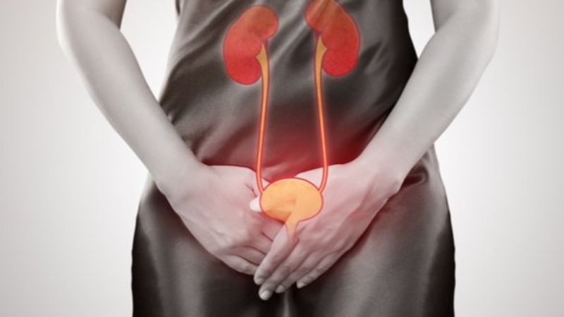 Triệu chứng viêm đường tiết niệu và cách phòng ngừa 1