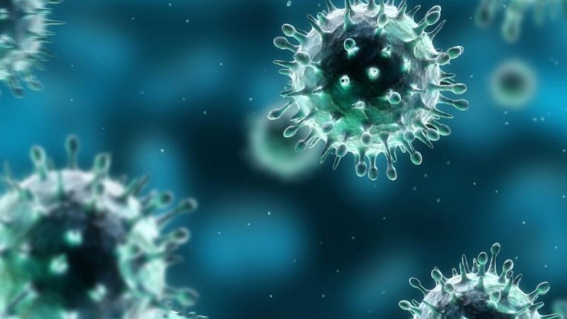 Triệu chứng zona thần kinh ở mũi và cách điều trị 1