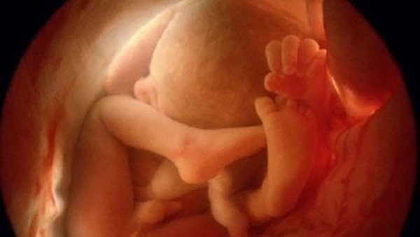 Trong trường hợp nào nốt echo gây nguy hiểm? 2