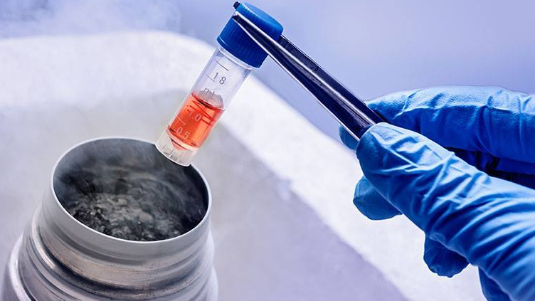 Trữ phôi là gì? Khi nào mình nên trữ phôi?