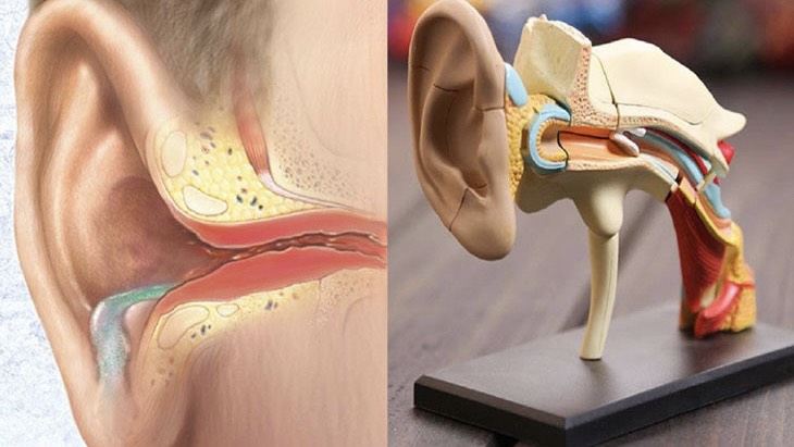 u-tai-phai-nam-gioi-can-luu-y-gi-va-lam-gi 2