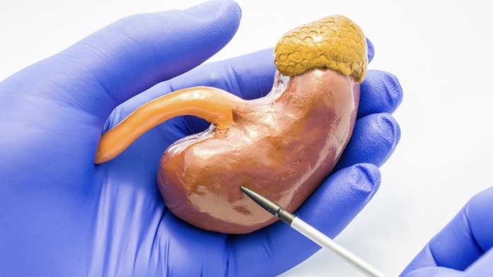 u-tuyen-thuong-than-trai-ke-tham-lang-de-doa-suc-khoe 3