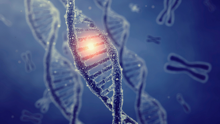 Ung thư mô mỡ là gì? Nguyên nhân, triệu chứng và cách điều trị 5