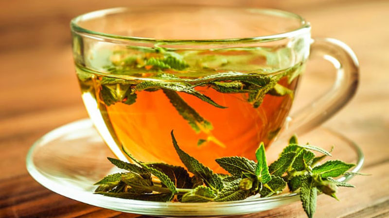Uống trà xô thơm có tốt không? Công dụng và những lưu ý khi sử dụng 1