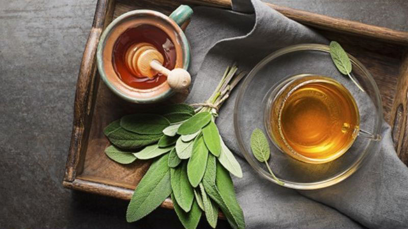 Uống trà xô thơm có tốt không? Công dụng và những lưu ý khi sử dụng 3