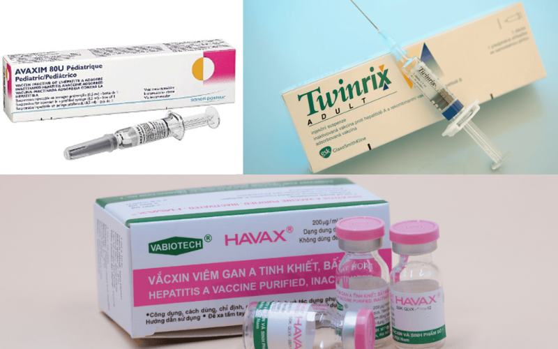 Vắc xin viêm gan A là gì? Tác dụng, đối tượng và giá tiêm viêm gan A 3