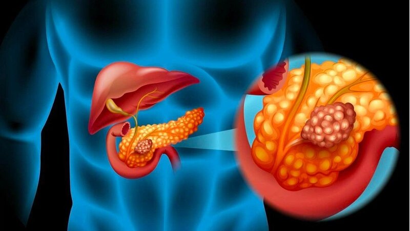 vai-tro-cua-dich-tuy-doi-voi-co-the 1.jpg