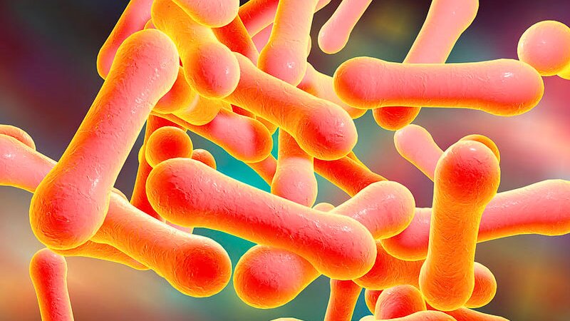 vi-khuan-bach-hau-song-duoc-o-nhiet-do-nao 1.jpg