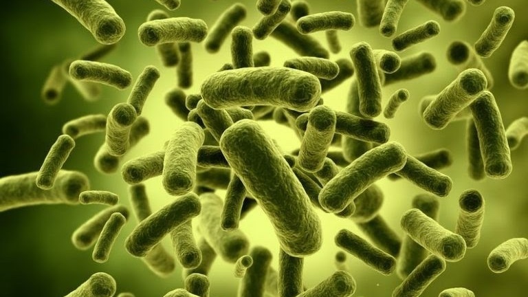 Vi khuẩn HP có tái nhiễm không? Làm sao để phòng tránh tái nhiễm vi khuẩn HP? 2