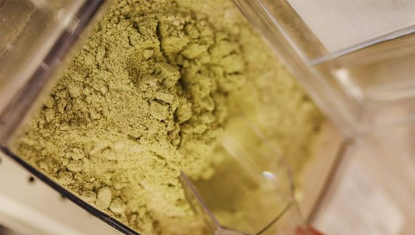 Vì sao bột trà xanh bị đen? Có phải bột trà xanh bị hư hay không? 3