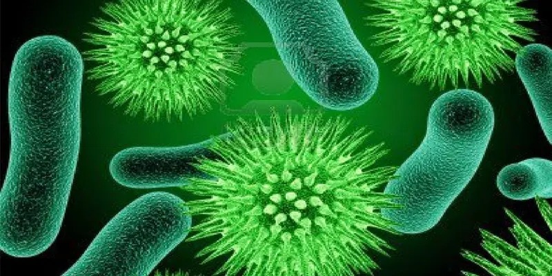 Vi sinh vật hiếu khí có ý nghĩa và vai trò gì trong hệ sinh thái và sức khỏe con người? 1