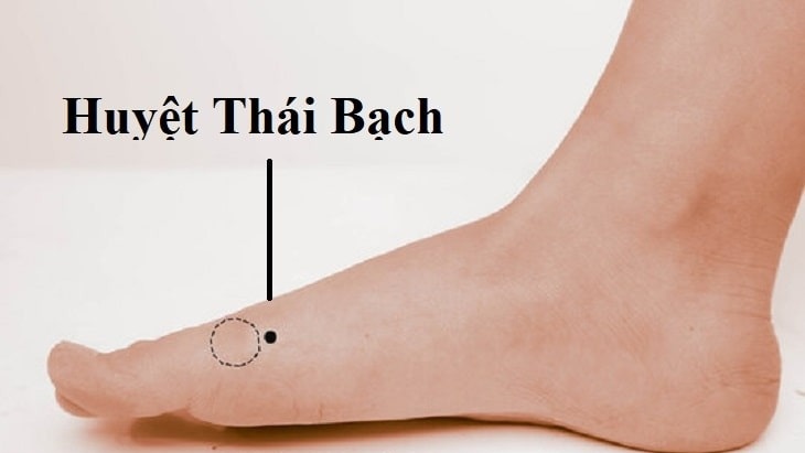 vi-tri-huyet-thai-bach-nam-o-dau-tren-co-the 1.jpg