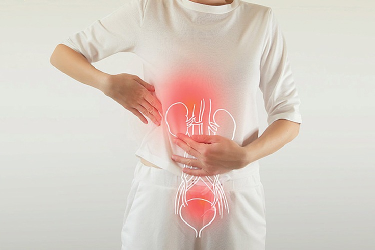 vi-tri-va-cau-tao-cua-bang-quang 1.jpg