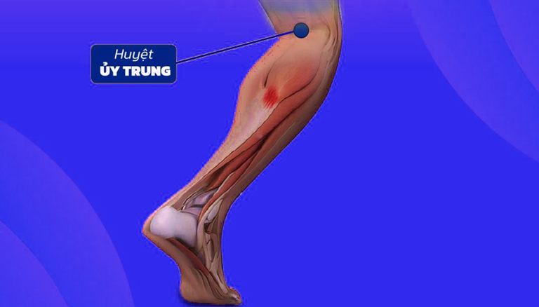 Các huyệt ở bắp chân: Vị trí, công dụng và hướng dẫn xoa bóp 3